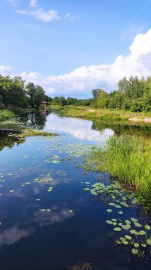 Göl ve orman, ormandaki göl.