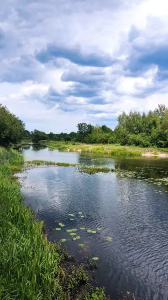 Göl ve orman, ormandaki göl.