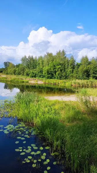 Göl ve orman, ormandaki göl.