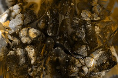 Dumanlı soyut renkli arkaplan