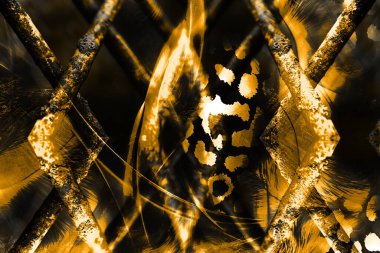 soyut fraktal arkaplan, tekstil baskı deseni, yeni sezon moda desenleri, modern moda tasarımları