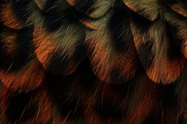 soyut fraktal arkaplan, tekstil baskı deseni, yeni sezon moda desenleri, modern moda tasarımları