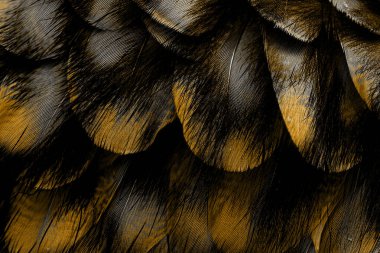 soyut fraktal arkaplan, tekstil baskı deseni, yeni sezon moda desenleri, modern moda tasarımları