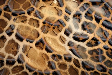 soyut fraktal arkaplan, tekstil baskı deseni, yeni sezon moda desenleri, modern moda tasarımları