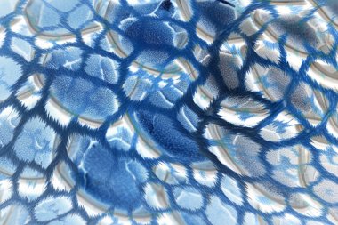 soyut fraktal arkaplan, tekstil baskı deseni, yeni sezon moda desenleri, modern moda tasarımları