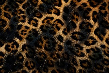 soyut fraktal arkaplan, tekstil baskı deseni, yeni sezon moda desenleri, modern moda tasarımları