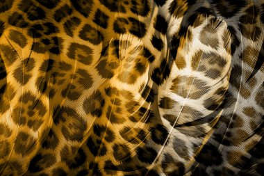 soyut fraktal arkaplan, tekstil baskı deseni, yeni sezon moda desenleri, modern moda tasarımları