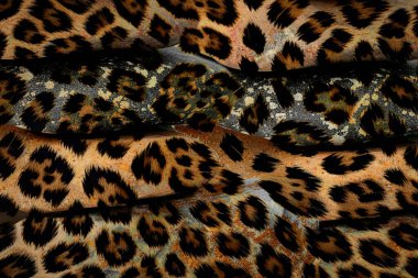 soyut fraktal arkaplan, tekstil baskı deseni, yeni sezon moda desenleri, modern moda tasarımları