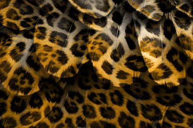 Tekstil kumaş deseni, Yastık Tasarımı, Elbise Deseni, Leopar, Kamuflaj, Zebra, Barok ve Kombinasyon desenleri.