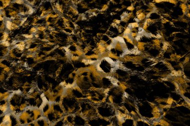 Tekstil kumaş deseni, Yastık Tasarımı, Elbise Deseni, Leopar, Kamuflaj, Zebra, Barok ve Kombinasyon desenleri.