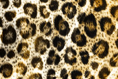 Tekstil kumaş deseni, Yastık Tasarımı, Elbise Deseni, Leopar, Kamuflaj, Zebra, Barok ve Kombinasyon desenleri.