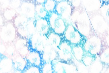 Tekstil kumaş deseni, Yastık Tasarımı, Elbise Deseni, Leopar, Kamuflaj, Zebra, Barok ve Kombinasyon desenleri.