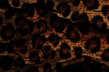 Tekstil kumaş deseni, Yastık Tasarımı, Elbise Deseni, Leopar, Kamuflaj, Zebra, Barok ve Kombinasyon desenleri.