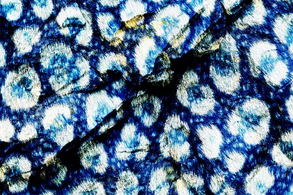 Tekstil kumaş deseni, Yastık Tasarımı, Elbise Deseni, Leopar, Kamuflaj, Zebra, Barok ve Kombinasyon desenleri.