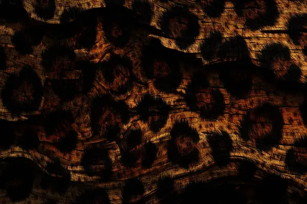 Tekstil kumaş deseni, Yastık Tasarımı, Elbise Deseni, Leopar, Kamuflaj, Zebra, Barok ve Kombinasyon desenleri.