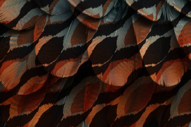 Tekstil baskısı. Soyut özgeçmiş. Giysi rengi deseni. Geometri deseni modern deseni tekrarla. Tekstil deseni. Leopar deseni ve tekstil deseni.