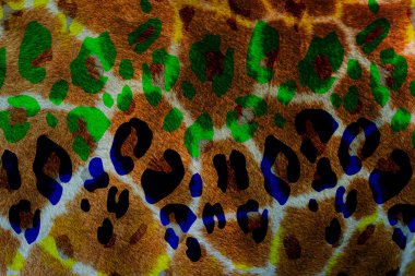 Geometri tekerrür deseni, doku arka planı, renkli desen çalışması ve tekstil deseni. Moda baskısı. Moda ve şık bir arka plan. Renkli dalgalı parlak yüzey dokusu.