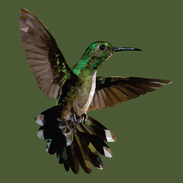 Arte Polivinílico Bajo Hummingbird — Archivo Imágenes Vectoriales