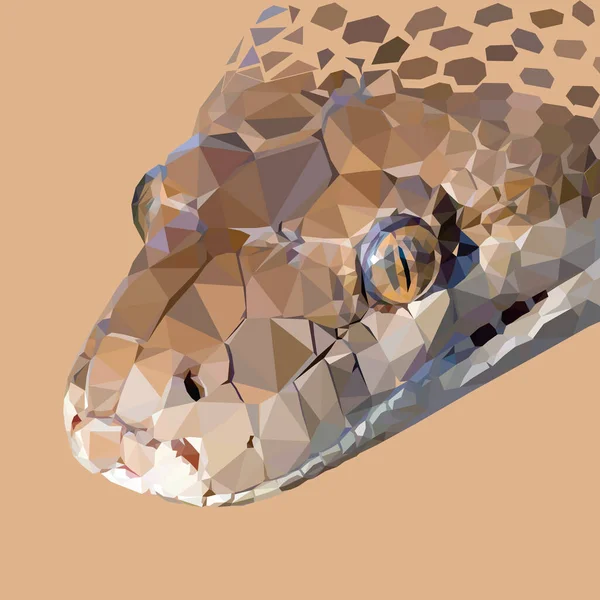 Snake Low Poly Vector Art — Stock Vector