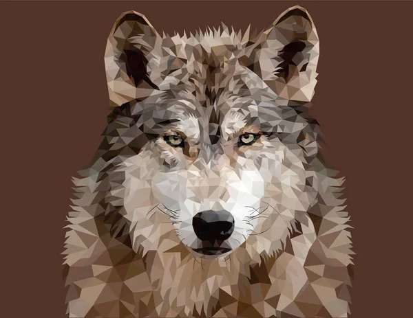 Wolf Geometryczne Niskie Poli Wektor Sztuki — Wektor stockowy