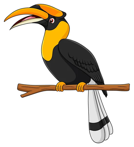 Niedliche Hornbill Vogel Cartoon Vektor Illustration — Stockvektor