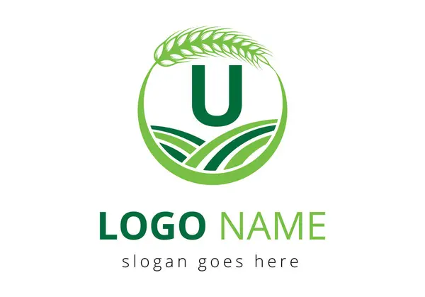 Tarım logosu, mektup konseptinde. Tarım Sembol Vektörü Şablonu için Buğday Logosu.