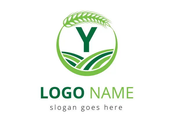 Tarım logosu Y harfi üzerinde. Tarım Sembol Vektörü Şablonu için Buğday Logosu.