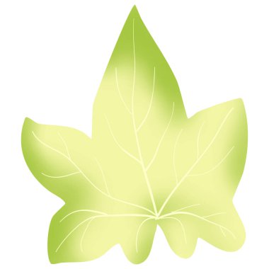 Hedera sarmalından illüstrasyon çiçeği 