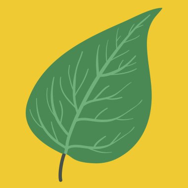 Hedera sarmalından illüstrasyon gözyaşı damlası 