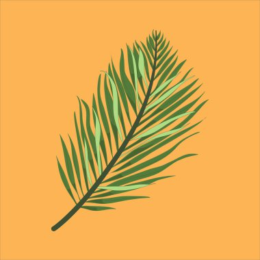 İllüstrasyon tropikal yapraklar bitki