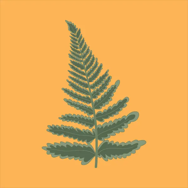 İllüstrasyon tropikal yapraklar bitki