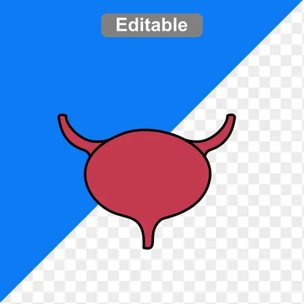 İç organların insan vücudu anatomisi çizimi