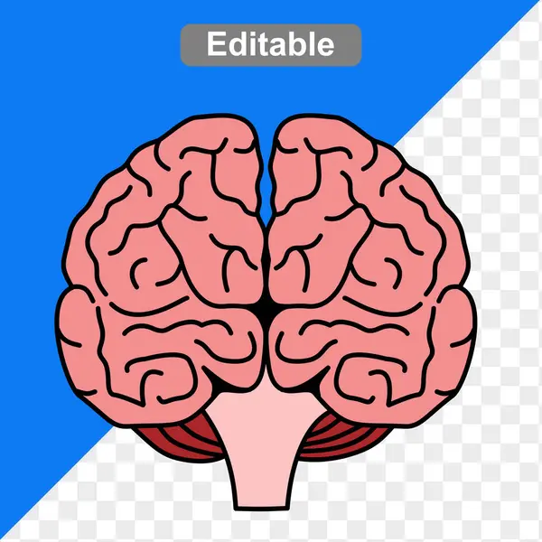 İç organların insan vücudu anatomisi çizimi