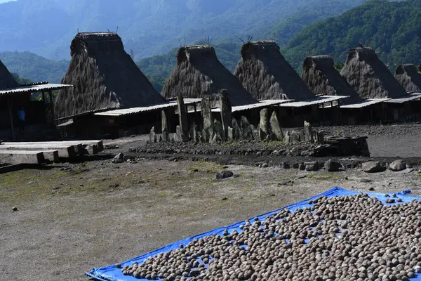 Geleneksel köy Bena Flores sazdan çatı köyünde