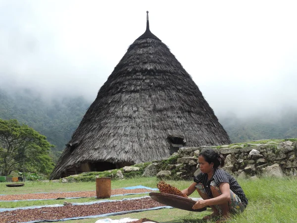 Waerebo, Flores Endonezya 'nın küçük bir köyüdür. Labuahan bajo ve komodo adasından çok uzak değildir.