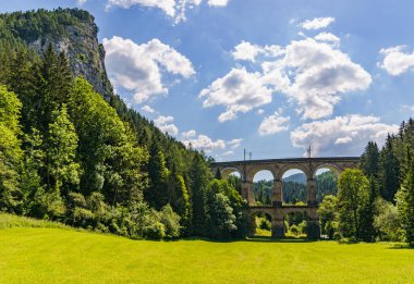 Ormanlık bir vadiden geçen güzel bir demiryolu viyameti.