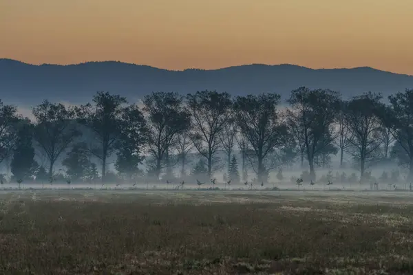 Beautiful sunrise over the mountains in the area of still shaded farmland