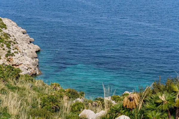 Красивый Скалистый Берег Часть Которого Покрыта Когерантом Спускающимся Синему Морю — стоковое фото
