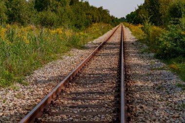 Eski, kullanılmayan, paslı tren rayları ormanda akıyor..