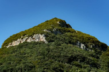 Yoğun ormanlarla kaplı kayalık bir dağ manzarası. Arka planda mavi bir gökyüzü var.