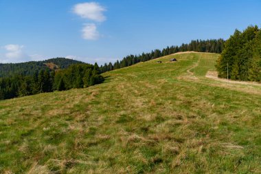Arka planda kulübesi olan ormanlar arasında yoğun yeşil bir çayıra tırmanan sarp bir dağ manzarası.
