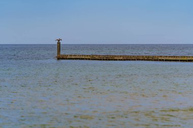 Deniz kenarındaki dalgalar, kumlu güzel bir denizin kıyılarını koruyor.