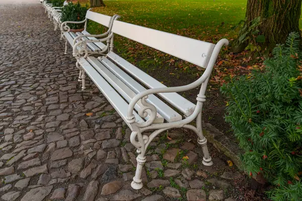 Bir sıra eski beyaz park bankları kaldırım taşı yolu hizasında..