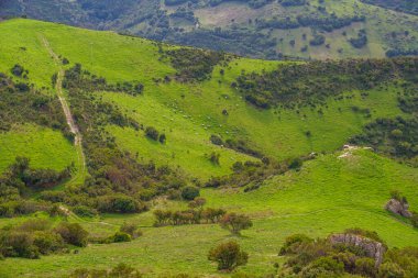 Yoğun yeşil çayırların küçük ormanlarla kesiştiği bir dağ manzarası..