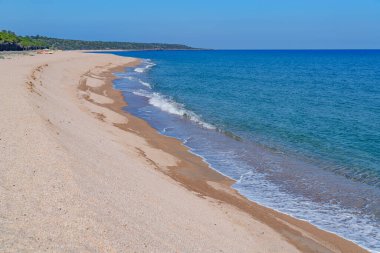Kıyıdaki sardunya denizinin güzel rengi. Güzel bir sahil manzarası.