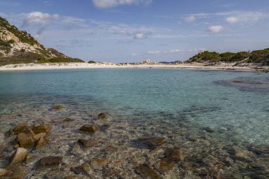 Kıyıdaki sardunya denizinin güzel rengi. Güzel bir sahil manzarası.