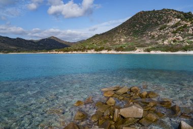 Kıyıdaki sardunya denizinin güzel rengi. Güzel bir sahil manzarası.