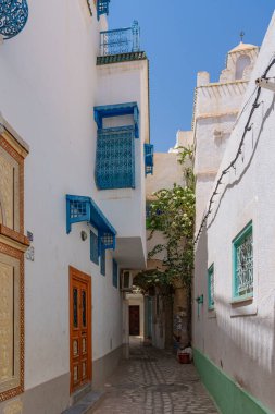 Eski beyaz evleri ve renkli sonları olan dar Tunus sokakları.