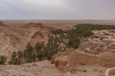 Palmiye ormanının manzarası kayalık kumlu çölde küçük bir vaha oluşturuyor..