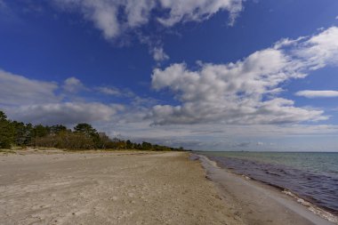 Açık denizin geniş bir manzarası, kumlu bir plajdan görülüyor. Ormanı ve arka planda bulutlu bir gökyüzü var.